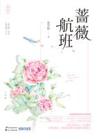 薔薇航班和弈婚的區別封面